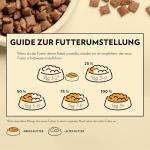 PrimaCat Dry Food for Sterilized Cats - Chicken