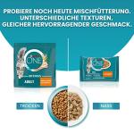 Purina One Bifensis Dry Cat Food with Chicken