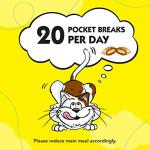 DREAMIES Cat Treats Variety Snack Box 12 Pouches