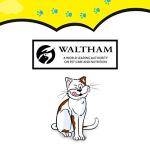 DREAMIES Cat Treats Variety Snack Box 12 Pouches