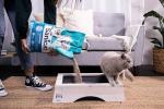 Sanicat Cat Litter with Marseille Soap Scent 10L