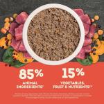 ACANA Grain-Free Beef Pate Wet Dog Food 12-Pack