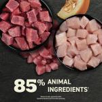 ACANA Premium Wet Cat Food Variety Pack 12 Cans