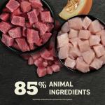 ACANA Surf and Turf Wet Cat Food Variety Pack