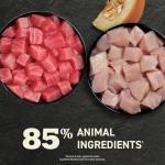 ACANA Wet Cat Food Variety Pack - Bone Broth