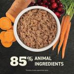 ACANA Grain-Free Wet Dog Food for Puppies 12-pack