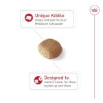 Royal Canin Miniature Schnauzer Adult Dog Food