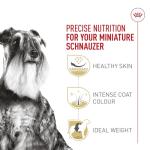 Royal Canin Miniature Schnauzer Adult Dog Food