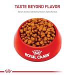 Royal Canin Yorkshire Terrier Adult Dog Food 2.5 lb