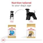 Royal Canin Miniature Schnauzer Adult Dog Food