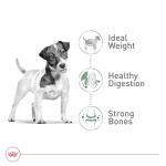 Royal Canin Small Adult Dry Dog Food, 14 lb