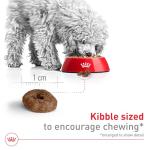 Royal Canin Small Breed Senior Dog Food 12 lb