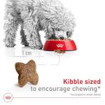 Royal Canin Small Adult Dry Dog Food, 14 lb