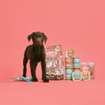 Lily's Kitchen Organic Puppy Dinner 150g Pack