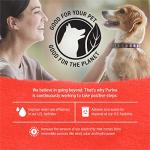 Purina Beyond Grain-Free Beef & Veggies Dog Food