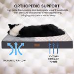 Large Washable Orthopedic Dog Bed with Anti-Slip