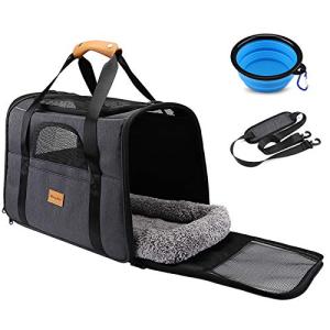 Portable Pet Carrier Bag with Removable Mat and Bowl