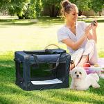 PawHut Portable Pet Carrier for Small Dogs and Cats