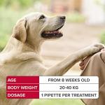 Beaphar FIPROtec Spot-On for Large Dogs - 4 Pack