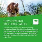FRONTLINE Plus Flea and Tick Treatment for Dogs
