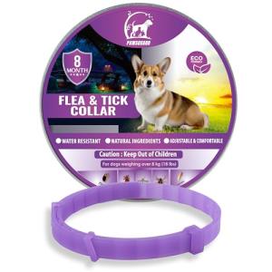 Adjustable Waterproof Dog Repellent Collar - Purple