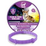 Natural Adjustable Dog Repellent Collar - Purple