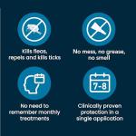 Seresto Large Dog Flea and Tick Collar