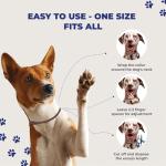 TeddyDo Adjustable Waterproof Dog Collars - 4 Pack