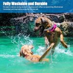 2 Pack Adjustable Waterproof Dog Collars with Oils