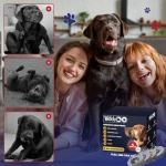 TeddyDo Adjustable Waterproof Dog Collars - 4 Pack