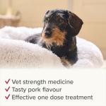 Beaphar WORMclear Tablets for Dogs - 2 Count