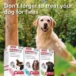 Beaphar WORMclear Tablets for Dogs - 4 Pork-Flavoured