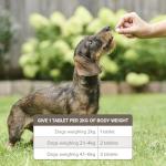 Beaphar Worming Tablets for Small Dogs - 3 Pack