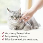 Beaphar WORMclear Tablets for Cats - 4 Pack