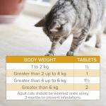 Beaphar WORMclear Tablets for Cats - 4 Pack