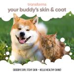 Buddycare Premium Salmon Oil for Dogs & Cats