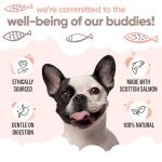 Buddycare Premium Salmon Oil for Dogs & Cats