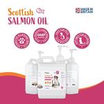 Pawbits Salmon Oil for Healthy Cats and Dogs