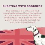 Natural Scottish Salmon Oil for Dogs, 500ml