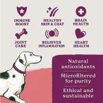 Natural Scottish Salmon Oil for Dogs, 500ml