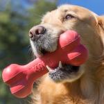 KONG Goodie Bone - Durable Treat Dispensing Toy