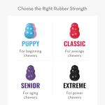 KONG Extreme Dog Toy for Heavy Chewers