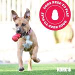 KONG Goodie Bone - Durable Treat Dispensing Toy