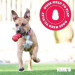 KONG Extreme Dog Toy for Heavy Chewers