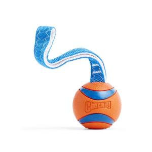 Chuckit! Ultra Tug Dog Toy with Rubber Ball