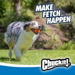 Chuckit! Fetch Medley Rubber Dog Balls, 3 Pack