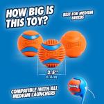 Chuckit! Fetch Medley Rubber Dog Balls, 3 Pack