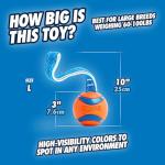 Chuckit! Ultra Tug Dog Toy with Rubber Ball