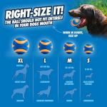ChuckIt! Ultra Squeaker Dog Ball - 2 Pack
