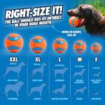 Chuckit! Ultra Medium High Bounce Dog Ball